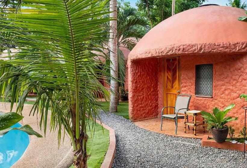 اتاق لوکس, Panglao Chocolate Hills Hostel And Resort