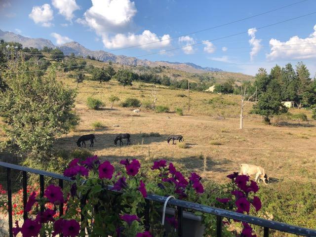 חדר סטנדרט, Acquaviva