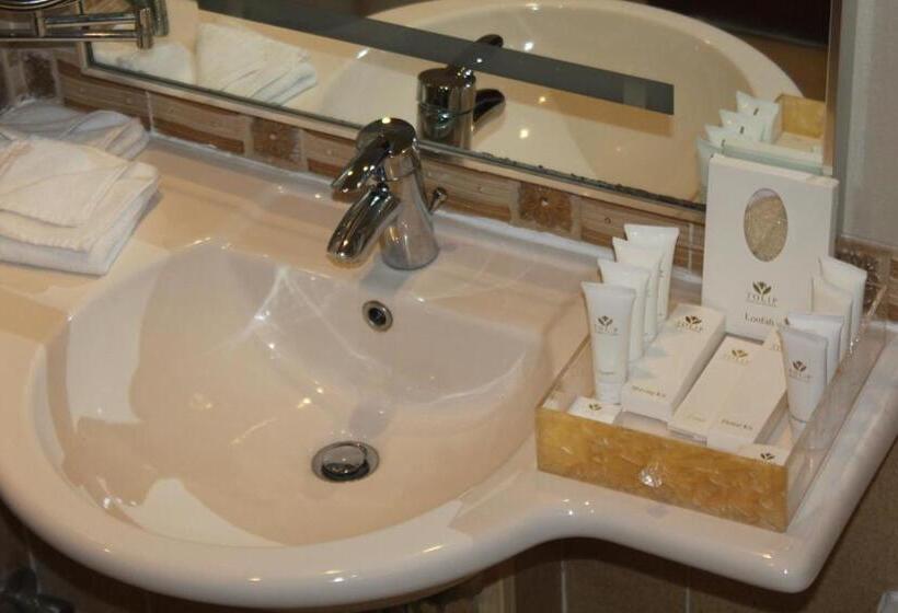 琮城市景观的豪华间, Tolip Hotel Alexandria