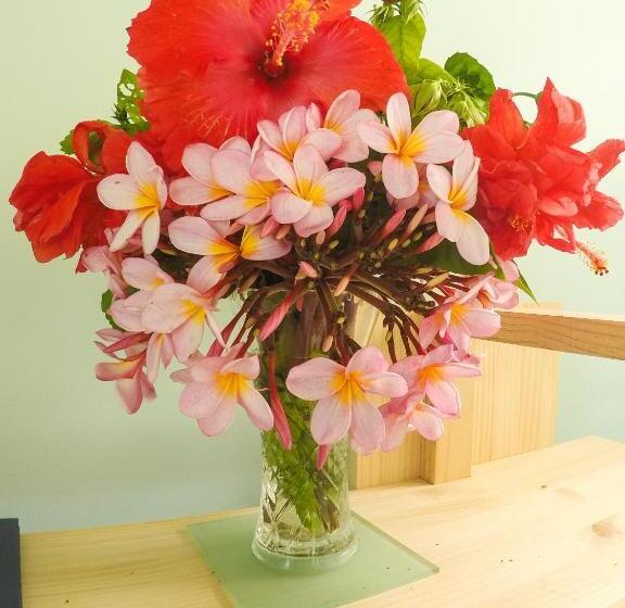 Standard Bungalow, Aore Breeze