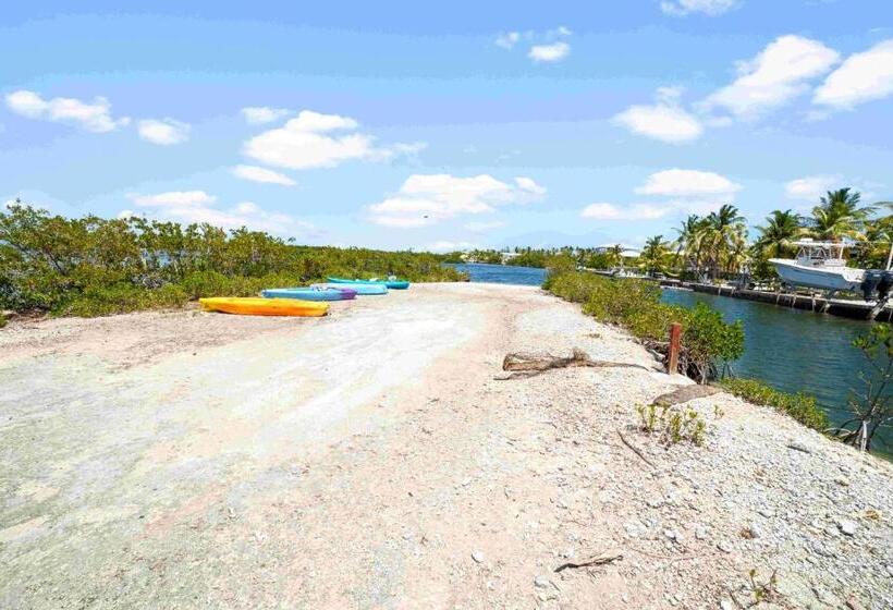 套房, Beach View Room Barnacle Bed And Breakfast Deers Front Beach Suite