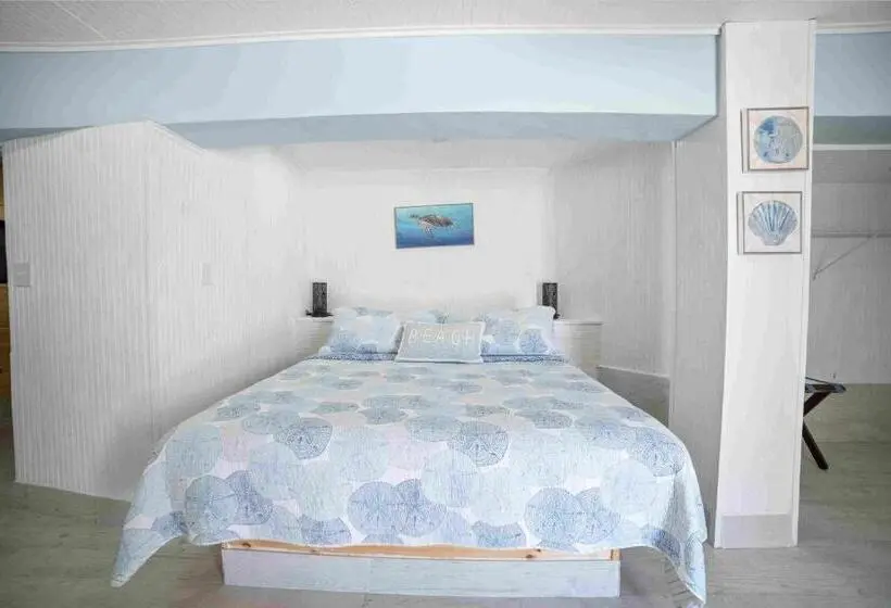 スイート, Beach View Room Barnacle Bed And Breakfast Deers Front Beach Suite