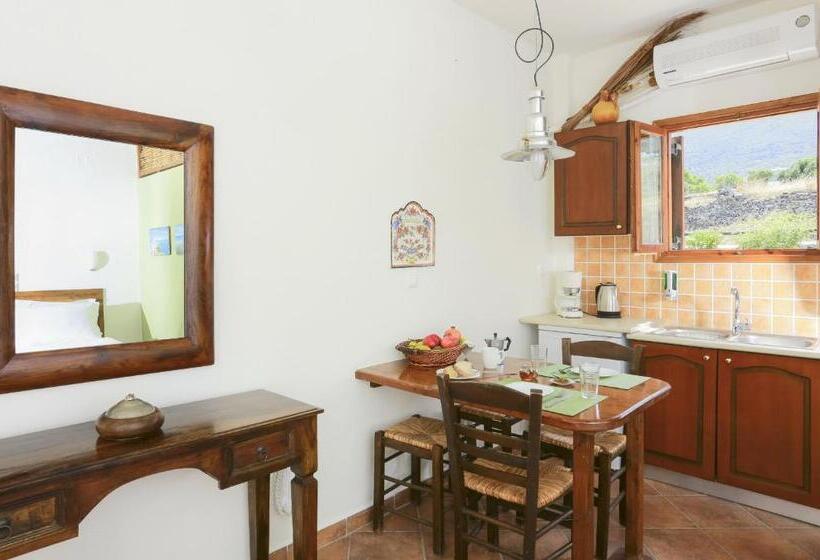 Студио Стандарт Вид на Сад, 9 Muses   Paros