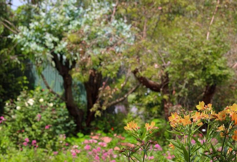 جناح مطلّ علي الحديقة, Daysy Hill Country Cottages