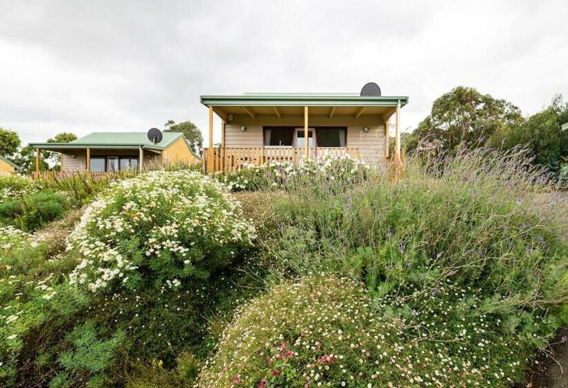 كابينة, Daysy Hill Country Cottages