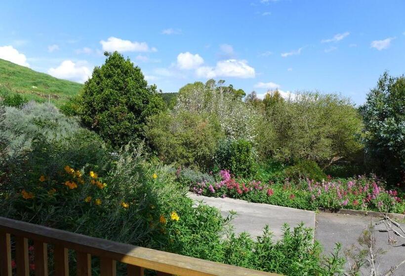 جناح مطلّ علي الحديقة, Daysy Hill Country Cottages