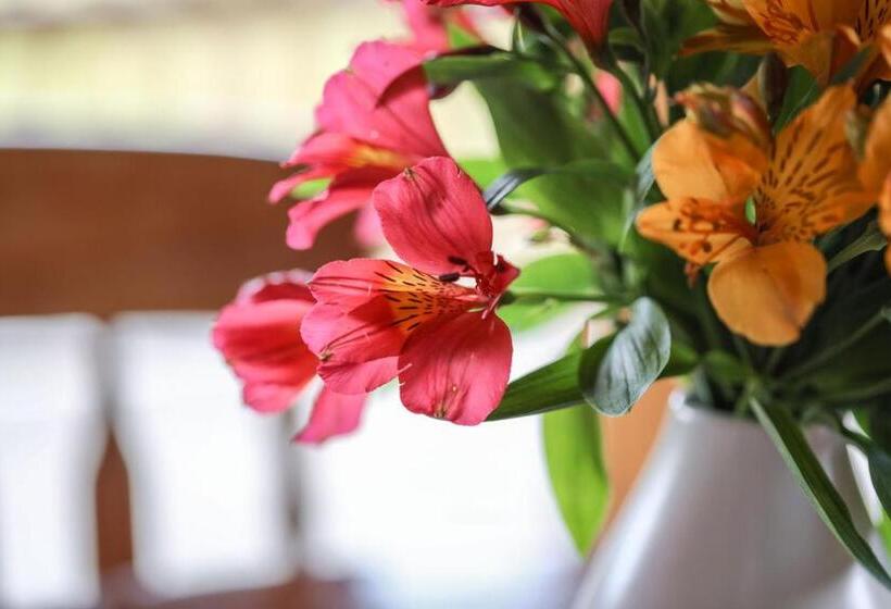 جناح مزود بجاكوزى, Daysy Hill Country Cottages