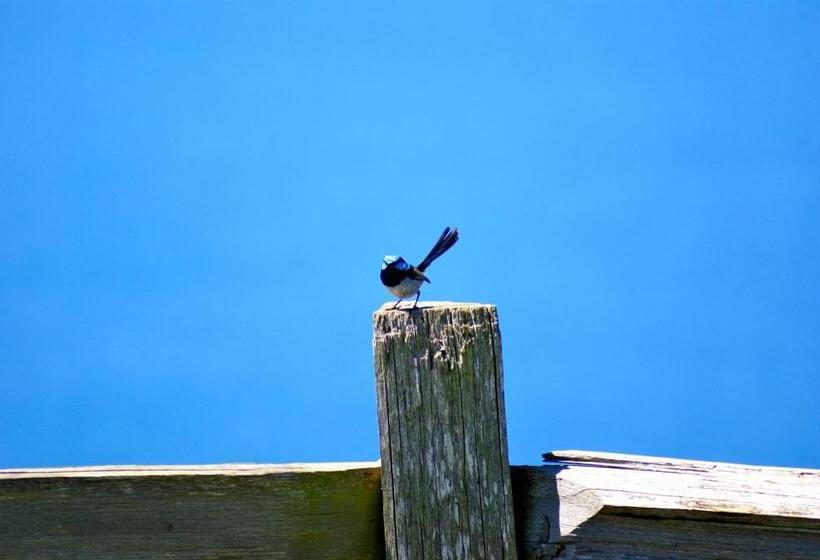 كابينة, Daysy Hill Country Cottages