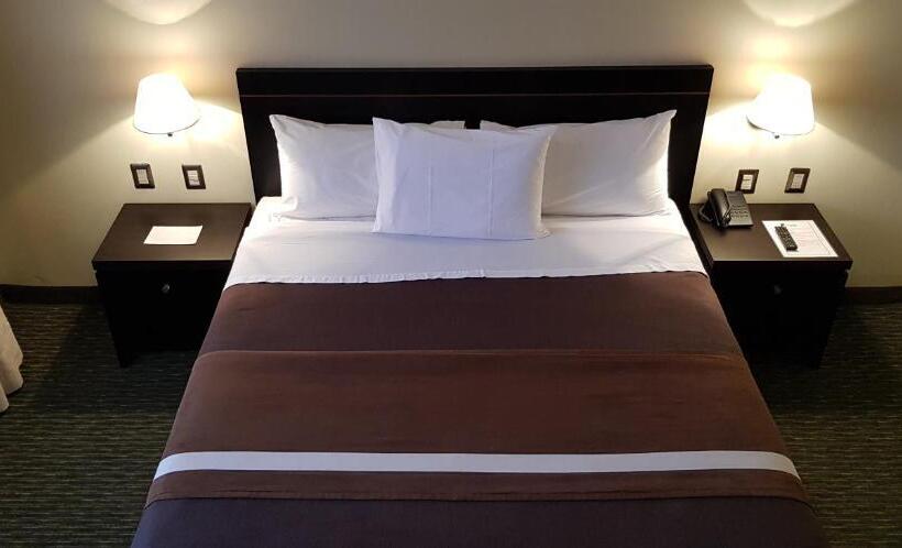 标准间, Diego De Almagro Alto El Loa Calama