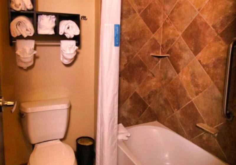 スタンダードルーム, Yha Hobart Central