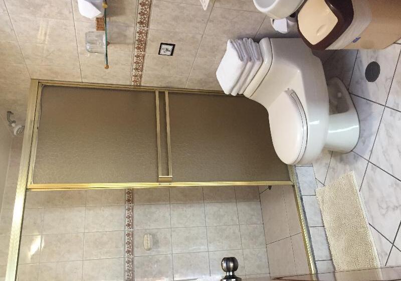 スタンダードシングルルーム, Midori