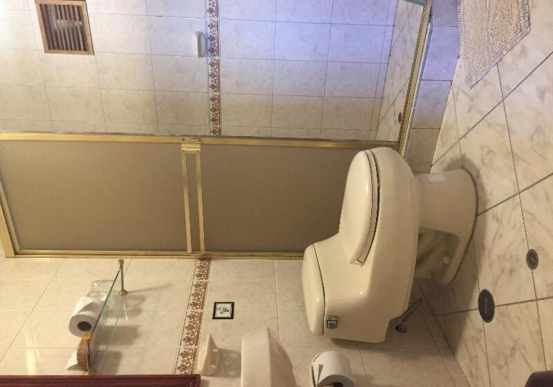 エコノミールーム, Midori