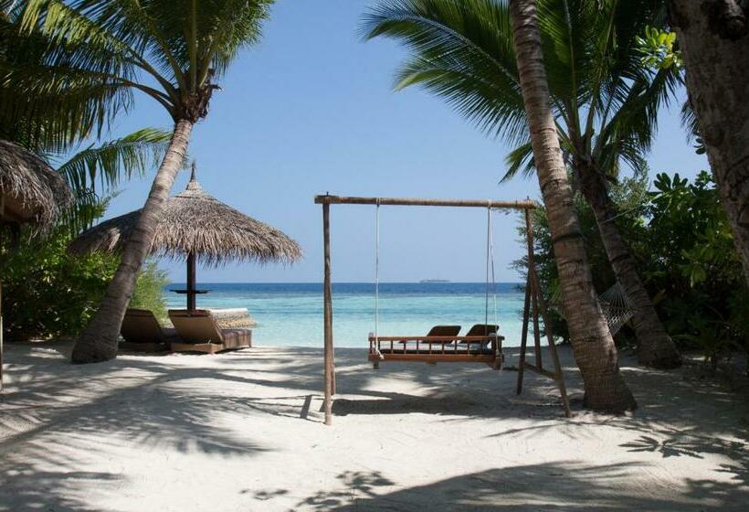 ویلای 1 خوابه, Nika Island Resort & Spa, Maldives