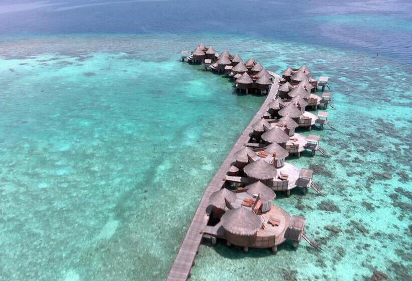 Villa 1 Camera da Letto, Nika Island Resort & Spa, Maldives