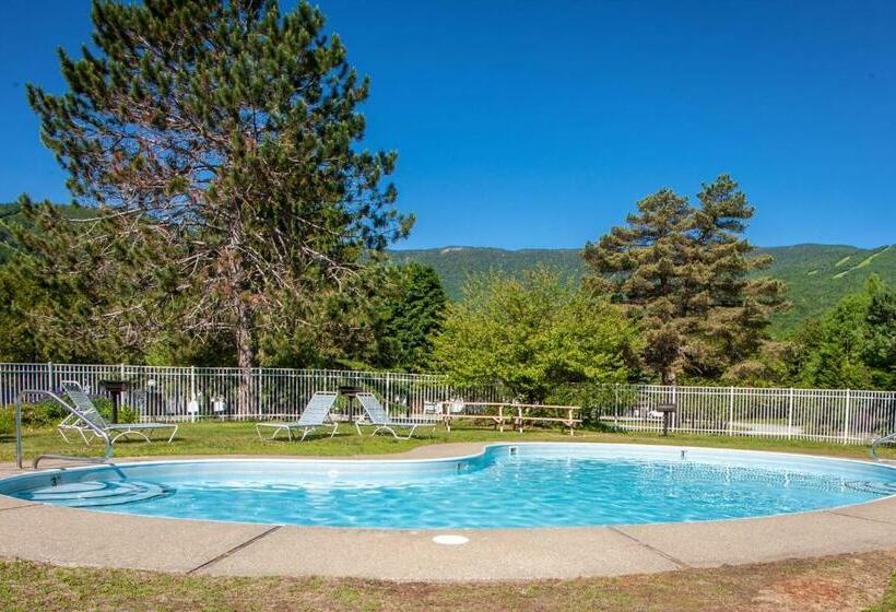 شقة غرفتين, Bridges 61