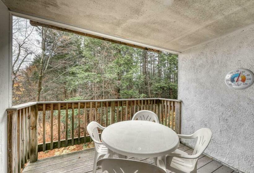 شقة غرفتين, Bridges 61