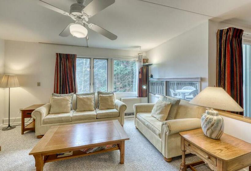 شقة غرفتين, Bridges 61