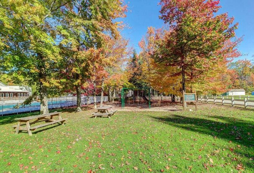 شقة غرفتين, Bridges 61