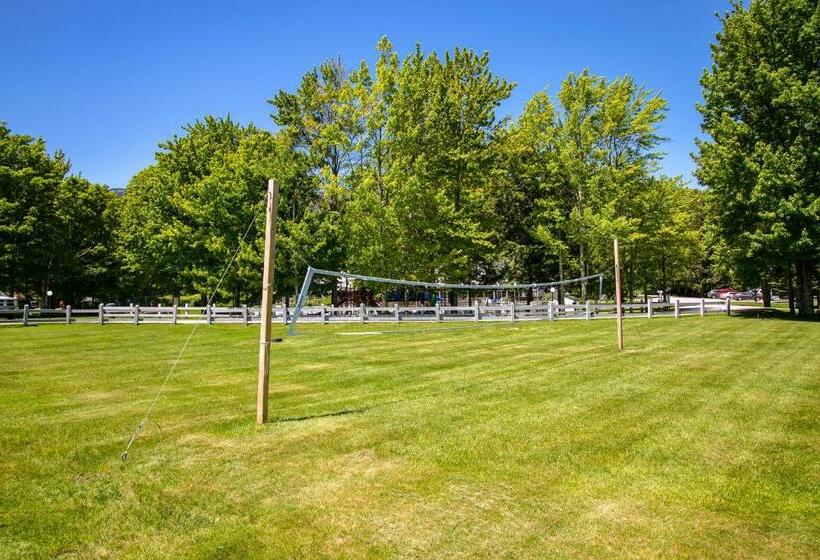 شقة غرفتين, Bridges 61