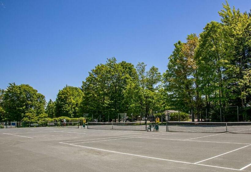 شقة غرفتين, Bridges 61