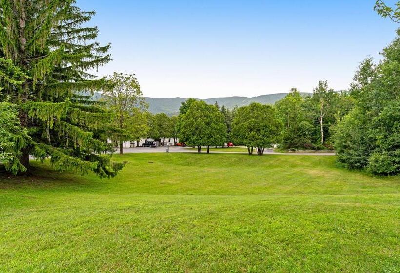 شقة غرفتين, Bridges 61