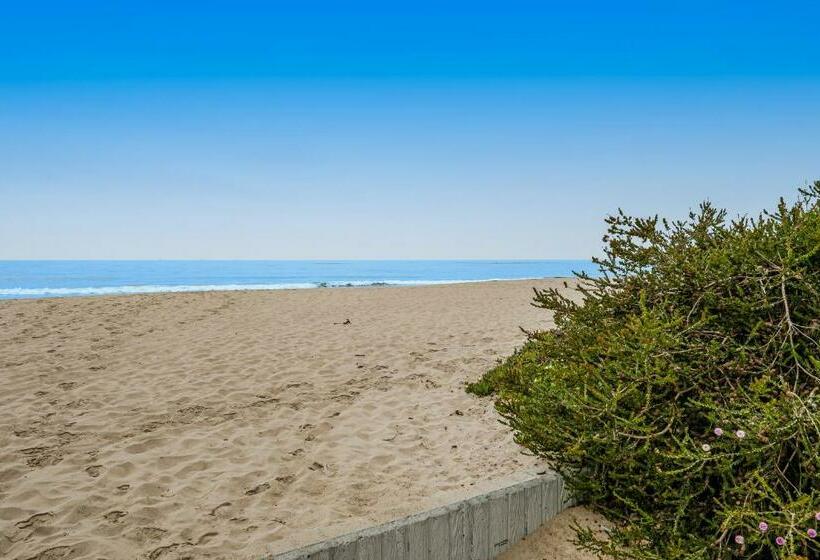 스탠다드 스튜디오, Sugar Shack