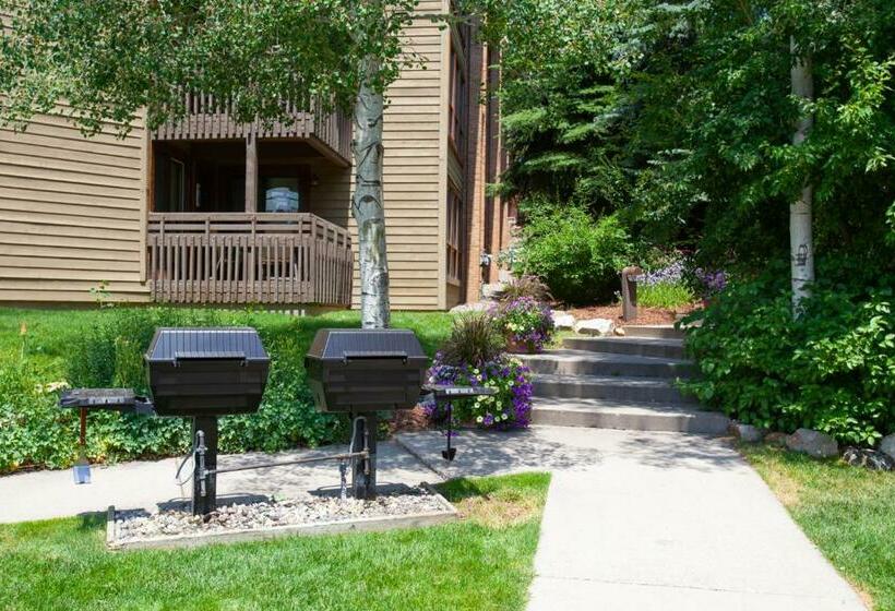 سوئیت 2 خوابه, Lodge At Steamboat C107