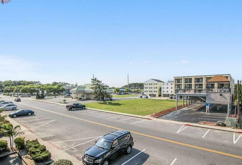 آپارتمان 2 خوابه, Royal Hawaiian