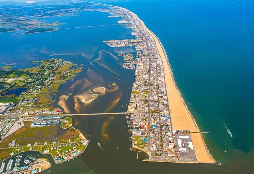 آپارتمان 2 خوابه, Royal Hawaiian