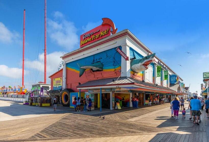 آپارتمان 1 خوابه با بالکن, Royal Hawaiian