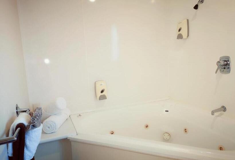 Apartamento 1 Dormitório, Aston Court Motel