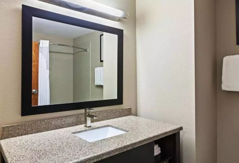 キングサイズベッドのエクゼクティブルーム, Holiday Inn Express & Suites Glenpool Tulsa South By Ihg