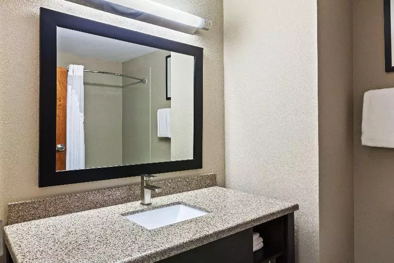 スタンダードルーム, Holiday Inn Express & Suites Glenpool Tulsa South By Ihg
