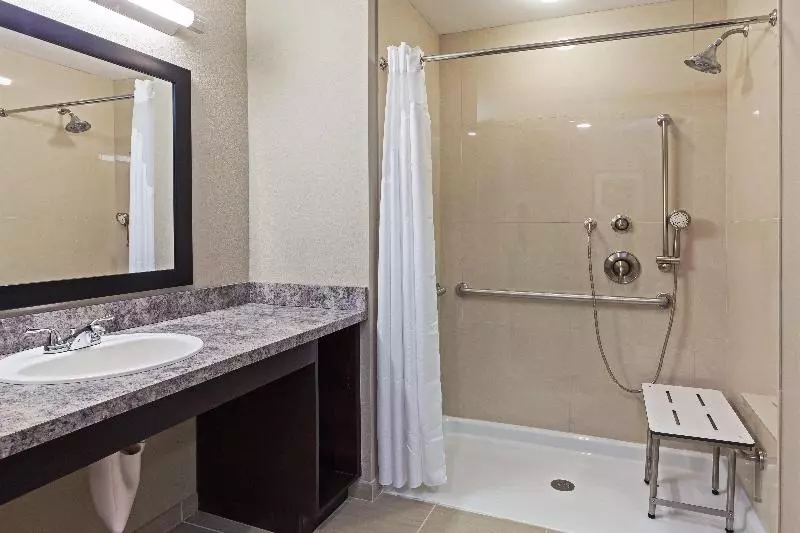 スタンダードルーム, Holiday Inn Express & Suites Glenpool Tulsa South By Ihg