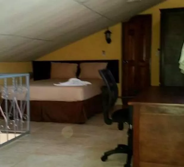 سوییت لوکس, Real Destino