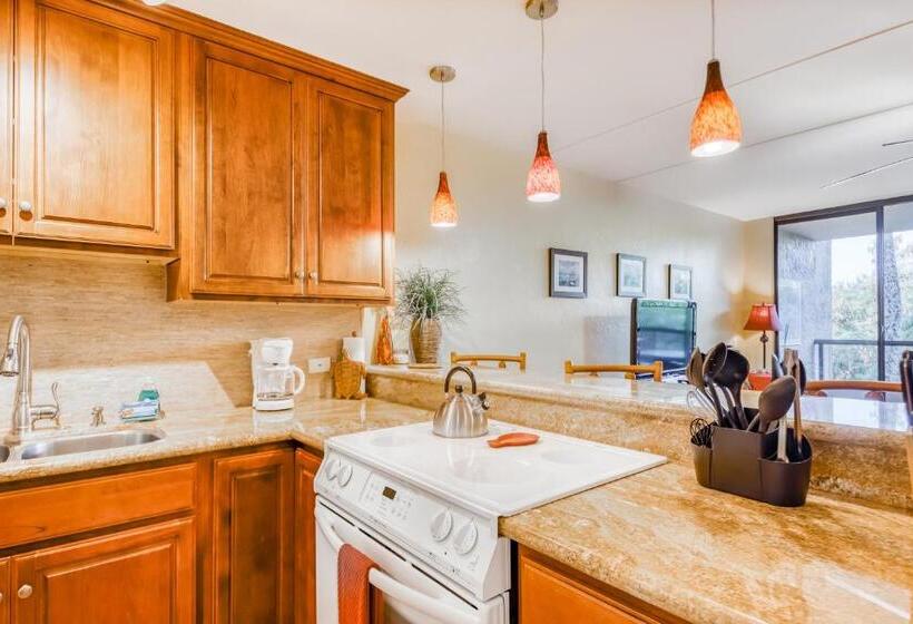 شقة غرفة واحدة, Kona Pacific C421