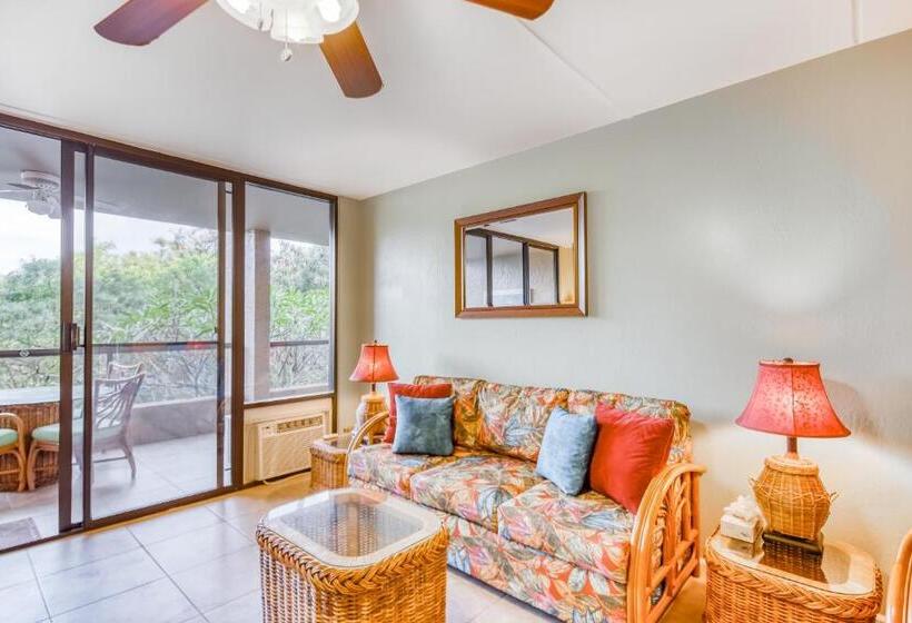 شقة غرفة واحدة, Kona Pacific C421