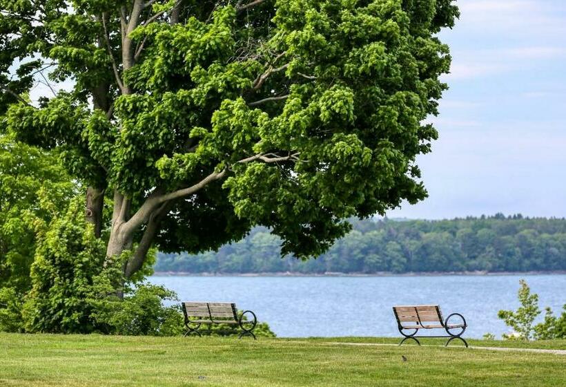 آپارتمان 1 خوابه, Morning On The Atlantic
