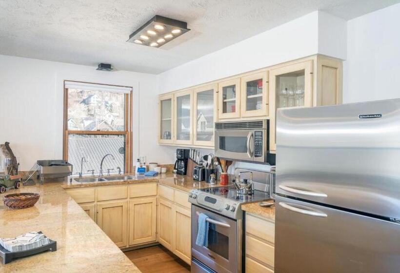 דירת שני חדרים, Colorado Ave East 101   Ski Loft House