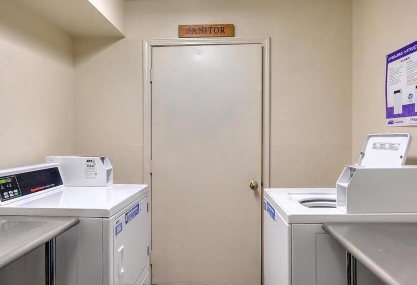 شقة غرفة واحدة, Mountain Spirits