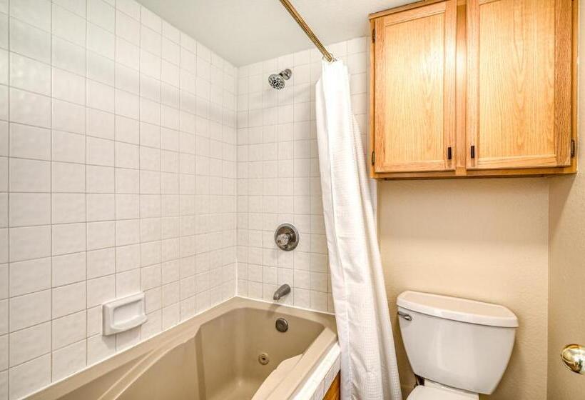 شقة غرفة واحدة, Mountain Spirits