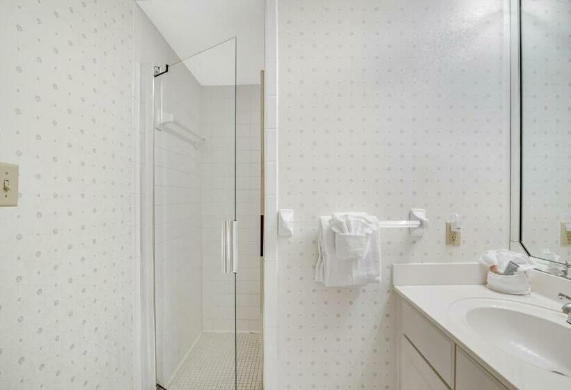 شقة غرفتين, Belle Mer 902