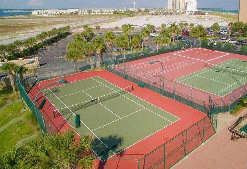 شقة غرفتين, Belle Mer 902