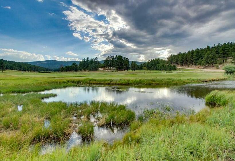 스탠다드 스튜디오, Raven S Nest