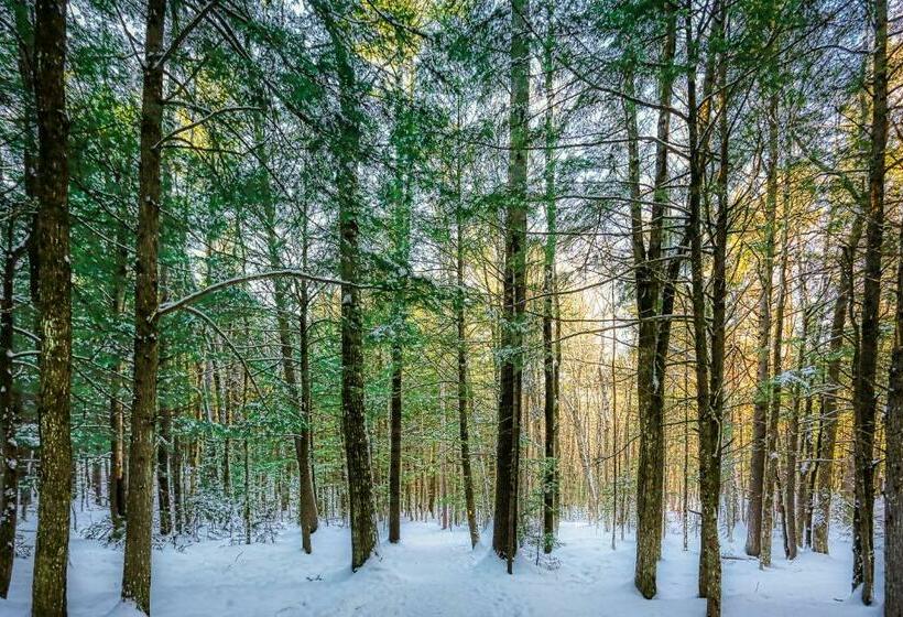 침실 1개 아파트, Bunker Lane Golf Course