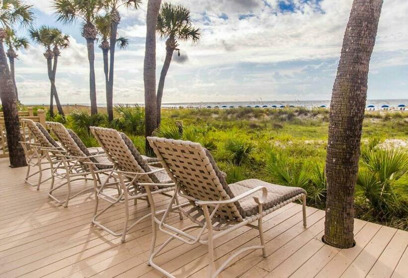 آپارتمان 3 خوابه, Hampton Place 6209