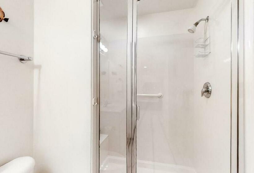 شقة غرفة واحدة, San Remo 406