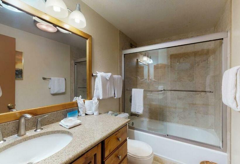 2ベッドルームアパートメント, Anaconda 103