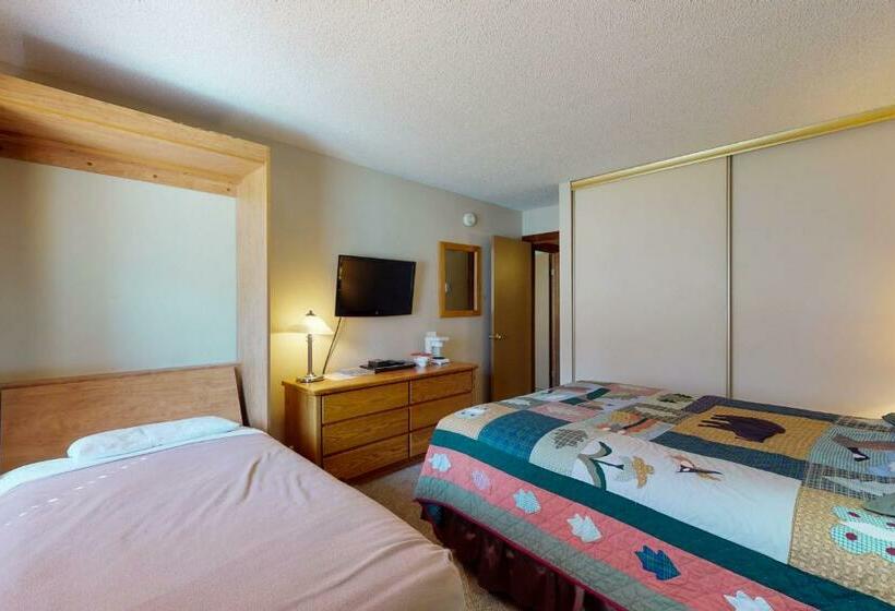 2ベッドルームアパートメント, Anaconda 103