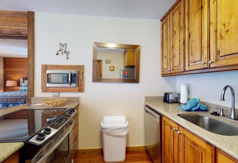 2ベッドルームアパートメント, Anaconda 103